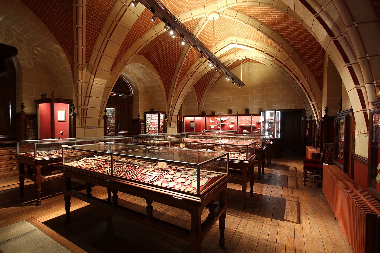 Vue de la salle Piette, Musée d'Archéologie nationale, Saint-Germain-en-Laye (Yvelines).