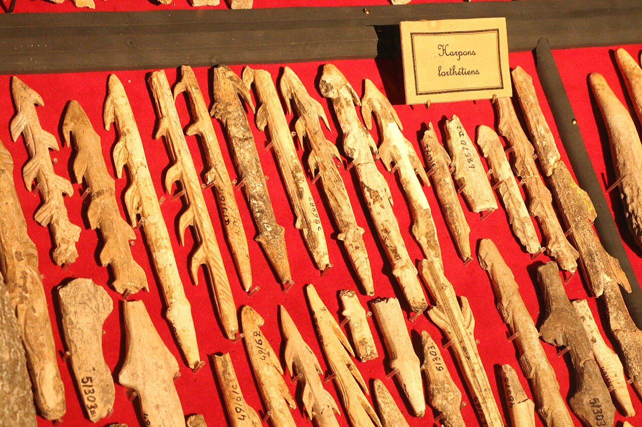 Harpons préhistoriques exposés dans la salle Piette, Musée d'Archéologie nationale.