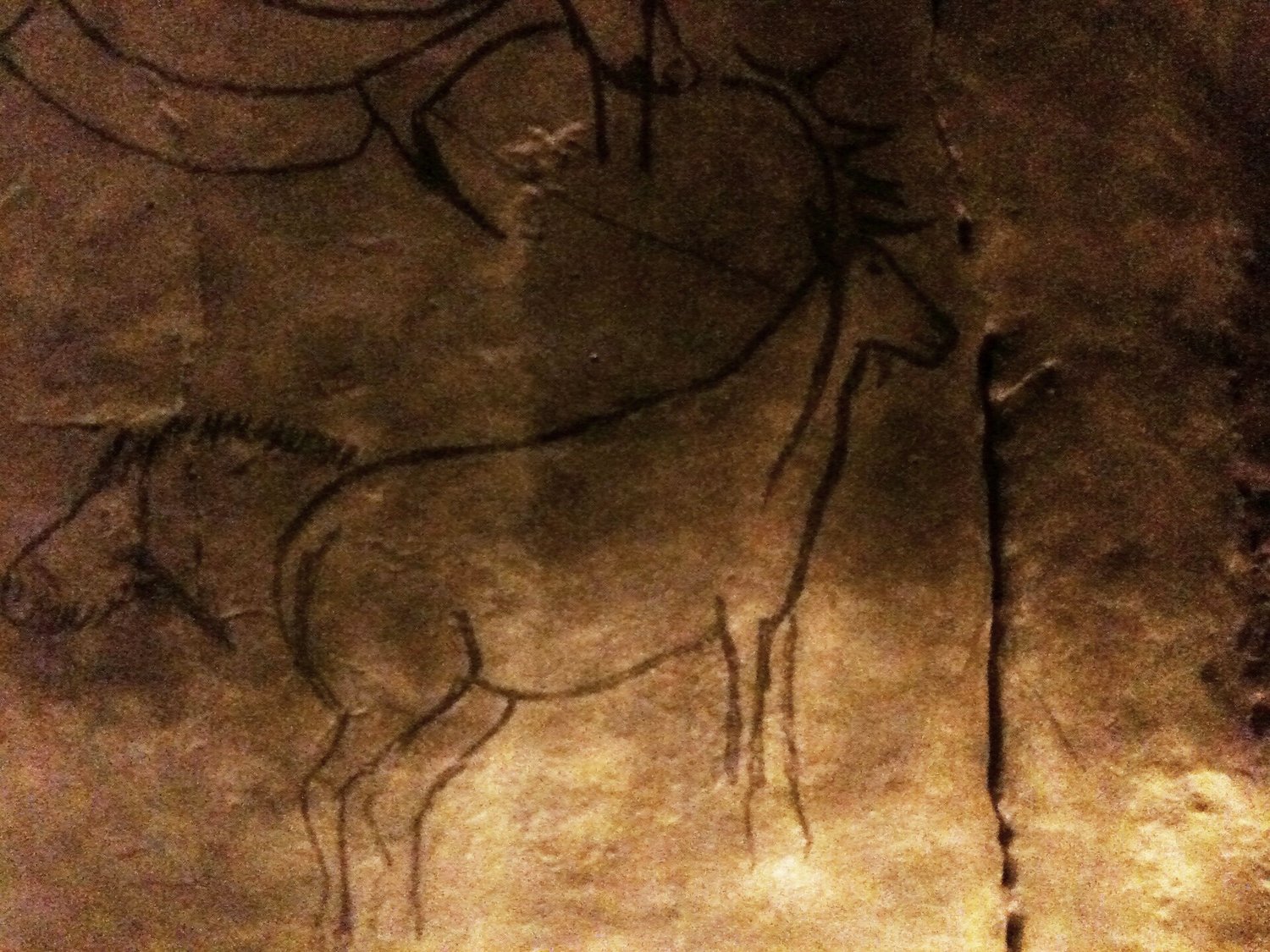 Cerf et tête de cheval (Salon Noir)