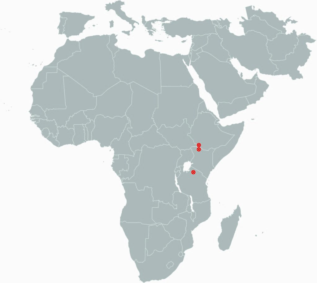 Carte de l’Afrique situant l’Omo, le lac Turkana et Laetoli