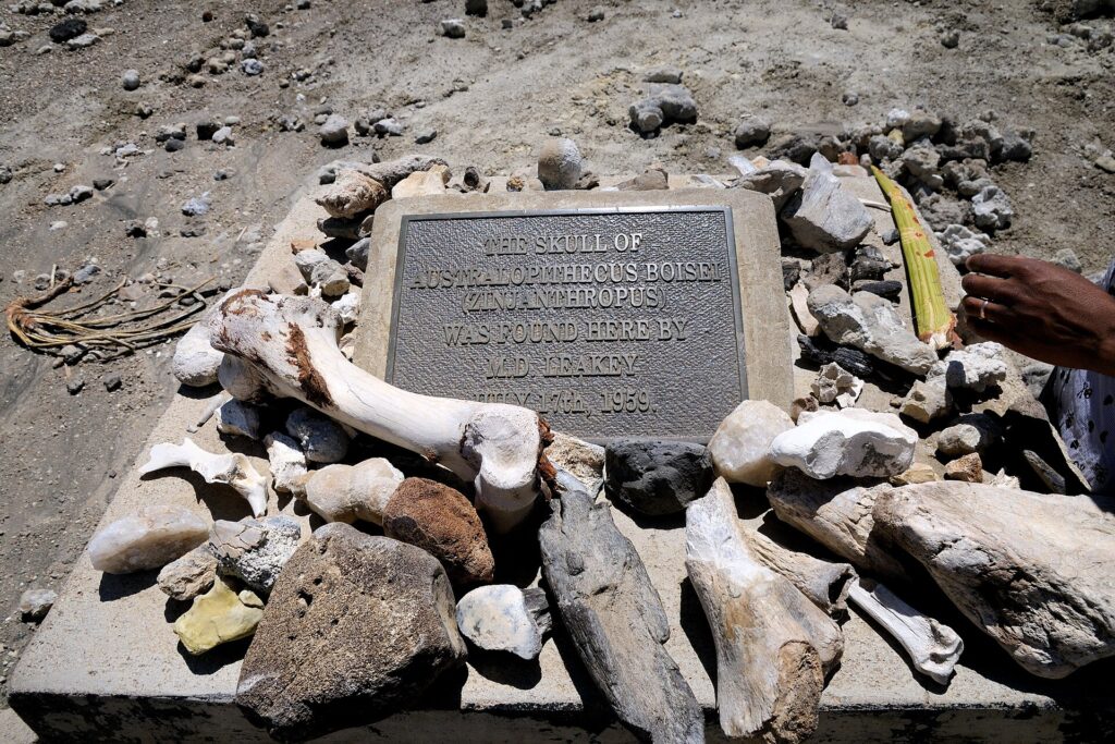 Plaque commémorative de la découverte du crâne OH 5 à Olduvai