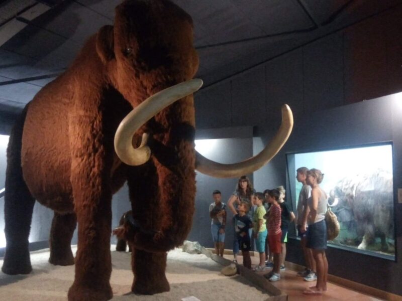 Le mammouth grandeur nature, face aux visiteurs