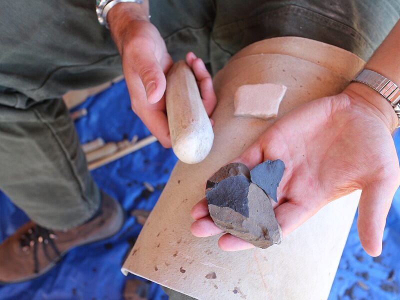 Atelier taille de silex, Paléosite