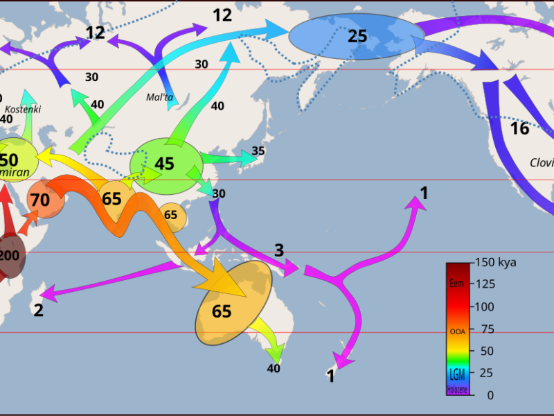 sortir-d-afrique-les-grandes-migrations