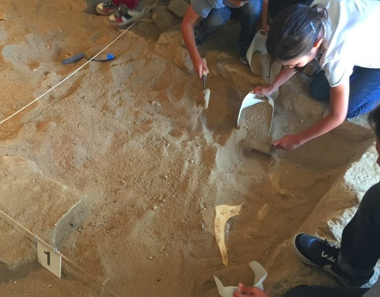 Atelier d’initiation à la fouille : dégagement d’ossements au carré