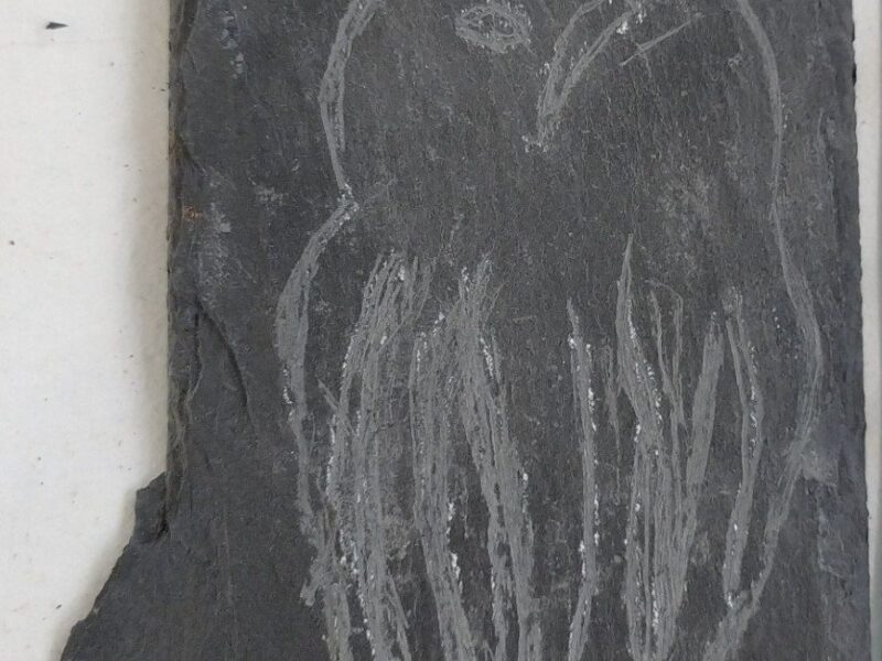 Gravure sur ardoise : une tête de cheval incisée à la pointe