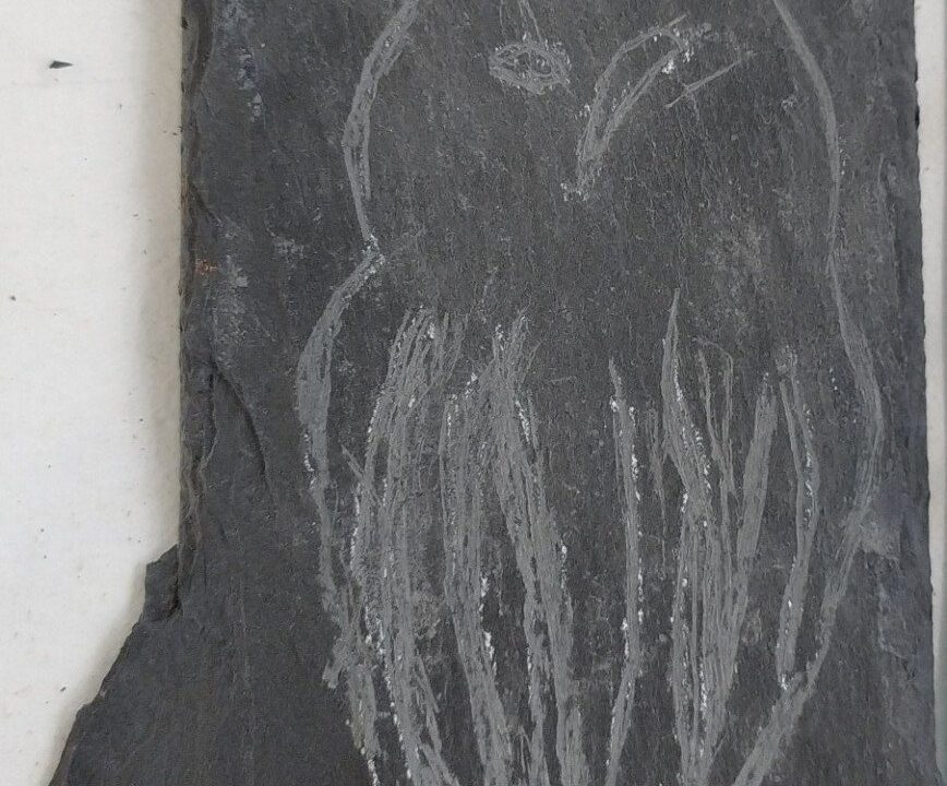 Gravure sur ardoise : une tête de cheval incisée à la pointe
