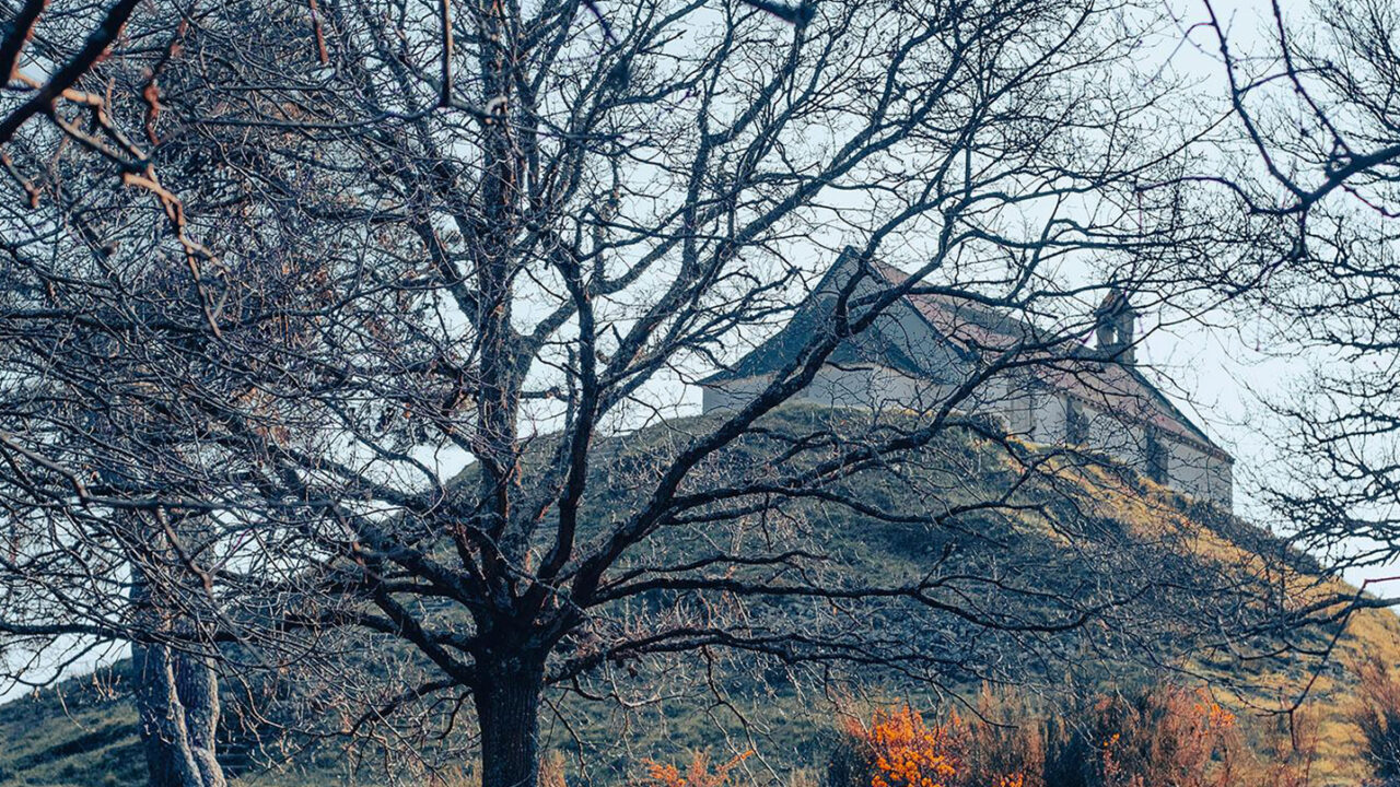Le tumulus Saint-Michel de Carnac, coiffé de sa chapelle, vu à travers les arbres en hiver