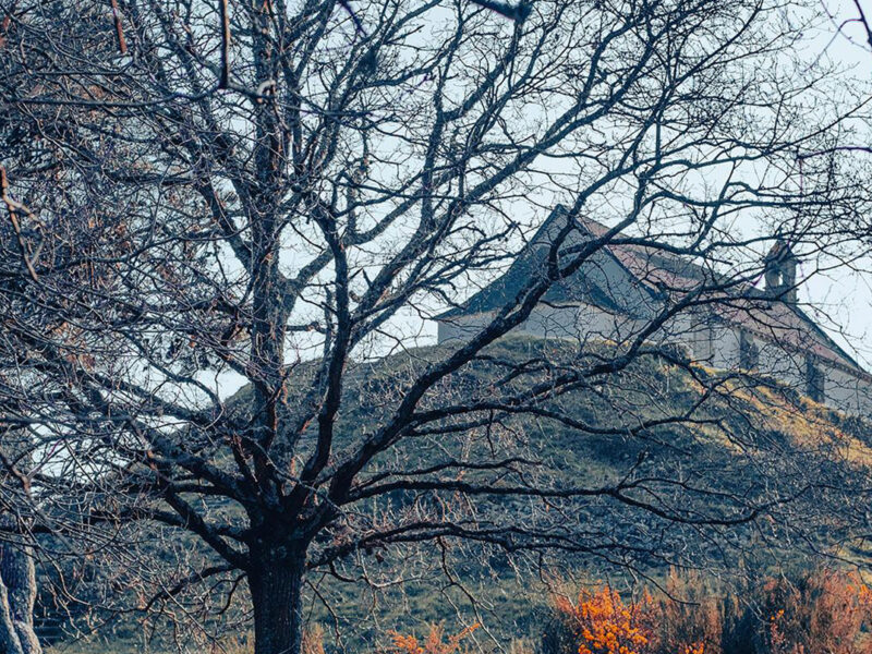 Le tumulus Saint-Michel de Carnac, coiffé de sa chapelle, vu à travers les arbres en hiver