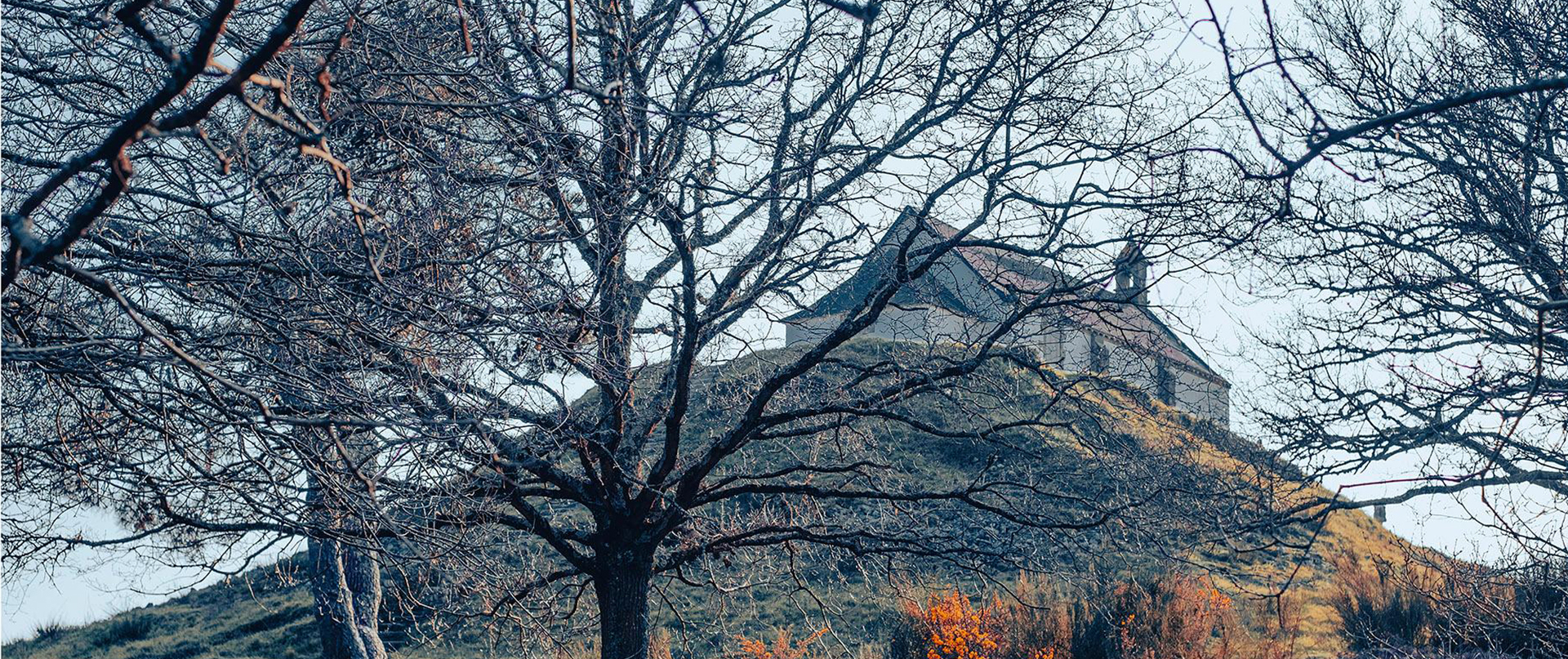 Le tumulus Saint-Michel de Carnac, coiffé de sa chapelle, vu à travers les arbres en hiver