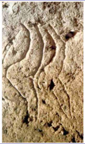 Gravure pariétale