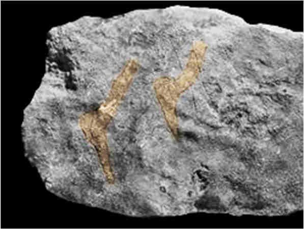 Grotte de la mairie de Teyjat Bloc monolithe 33 cm / 42 cm