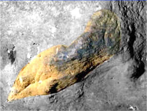 Grotte de Commarque Sireuil Relevé de paroi 60 cm