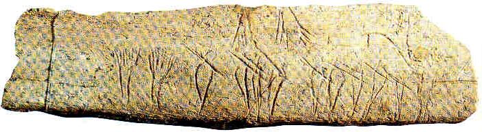 Plaquette osseuse gravée Grotte des Eyzies Le Château Formes anthropomorphes av