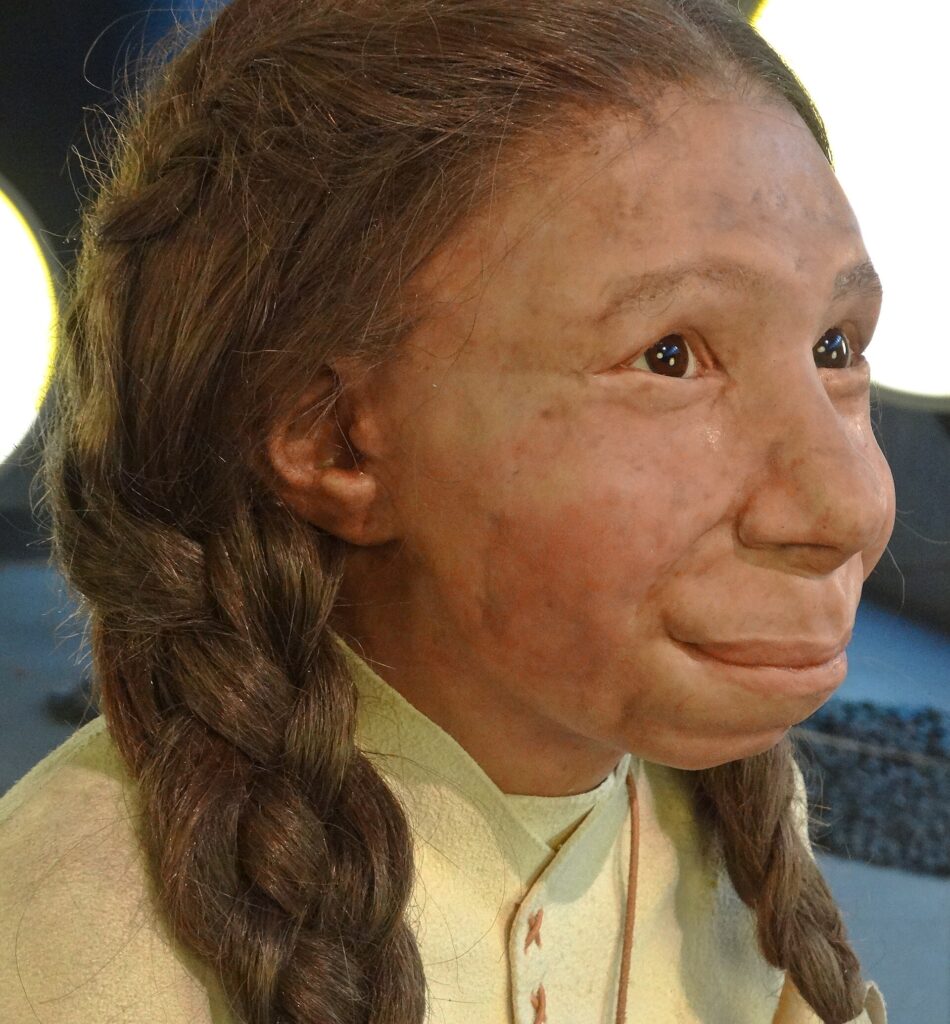 Reconstitution grandeur nature du visage d’une adolescente néandertalienne