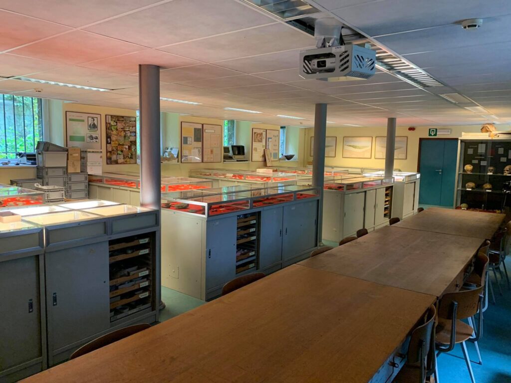Salle d’exposition d’un musée de préhistoire universitaire
