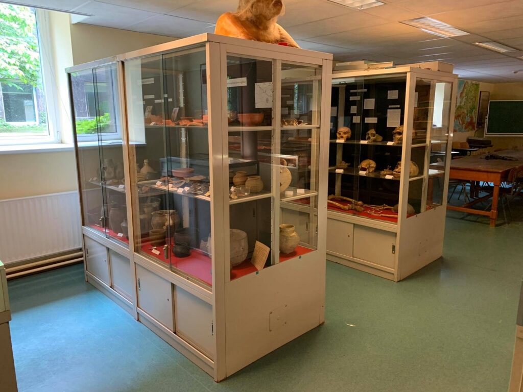 Vitrines d’un musée de préhistoire présentant des séries d’objets