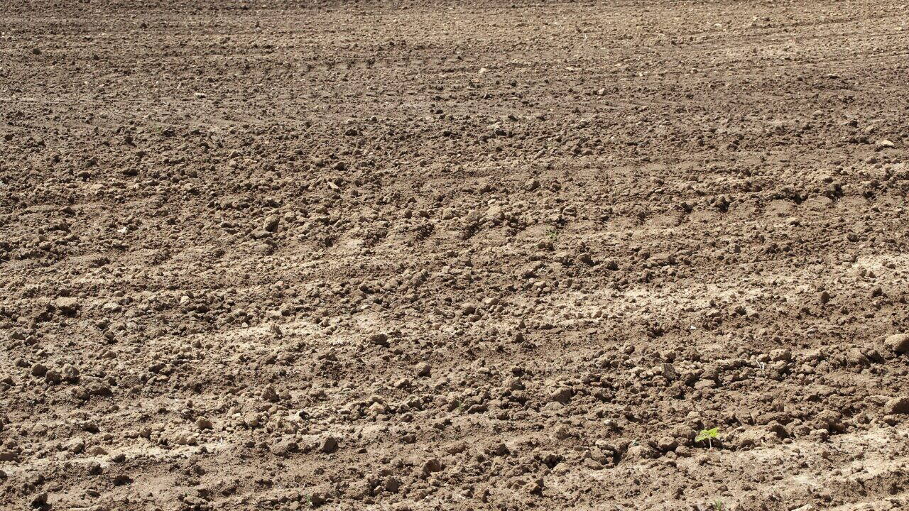 Champ labouré en France, terre retournée en sillons