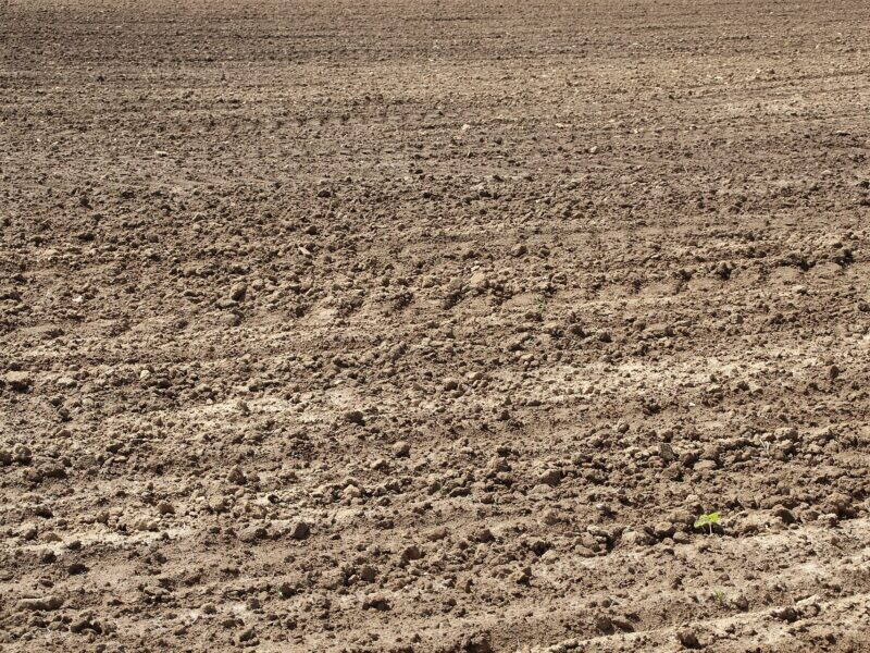 Champ labouré en France, terre retournée en sillons