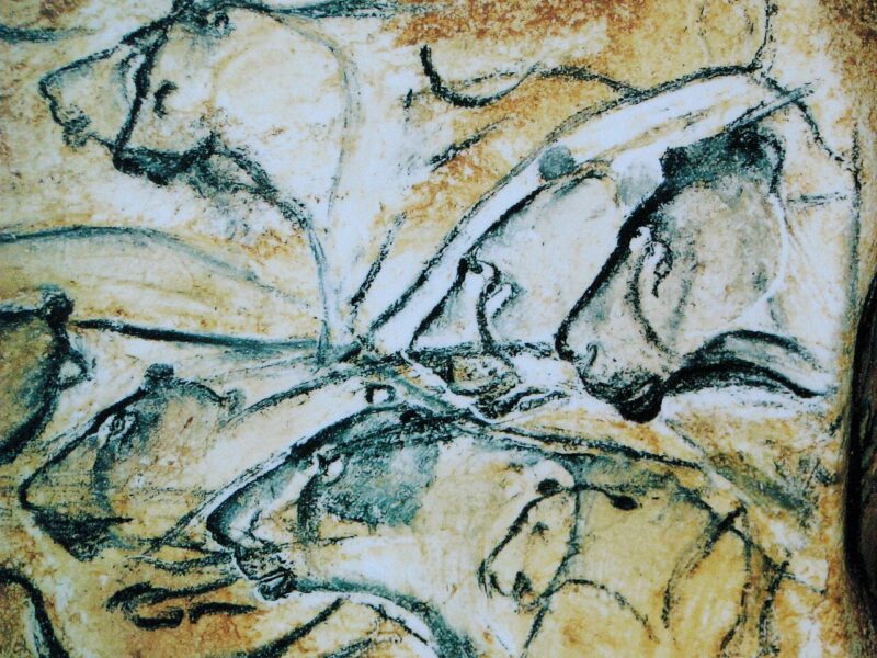 Panneau des lions de la grotte Chauvet, réplique de musée