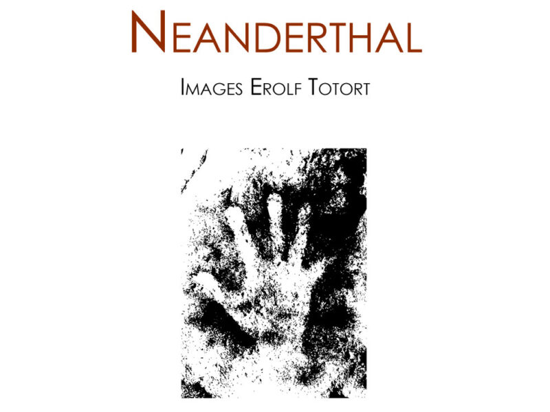Couverture de « Fille Neanderthal », Marylène Patou-Mathis et Erolf Totort (Les petites allées, 2021).
