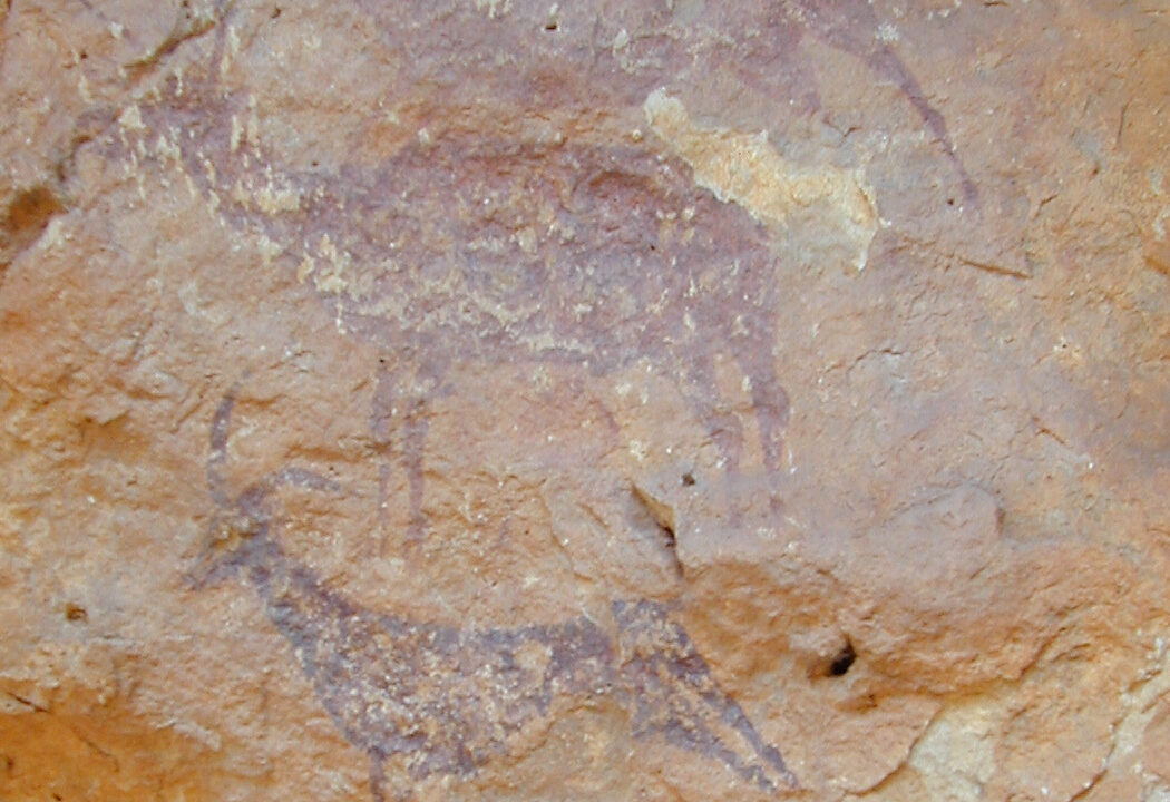 Peintures rupestres levantines de la Cova de l’Aranya, à Bicorp (Espagne) : silhouettes animales rouges sur la paroi