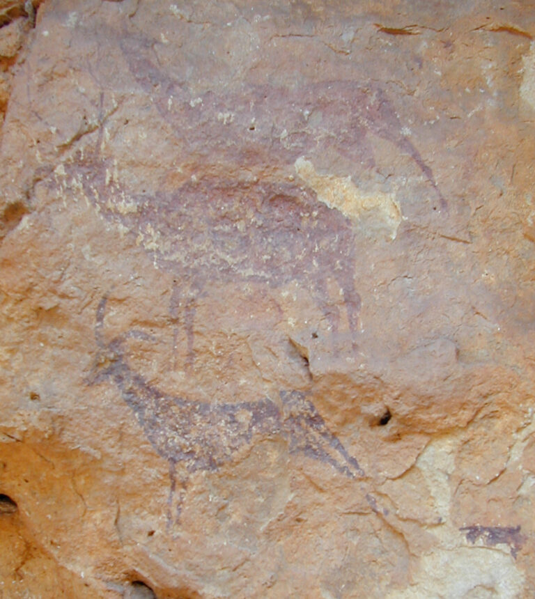 Peintures rupestres levantines de la Cova de l’Aranya, à Bicorp (Espagne) : silhouettes animales rouges sur la paroi