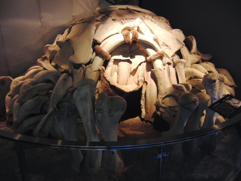 Reconstitution d'une hutte en os de mammouth d'après Mezhyrich (Ukraine).