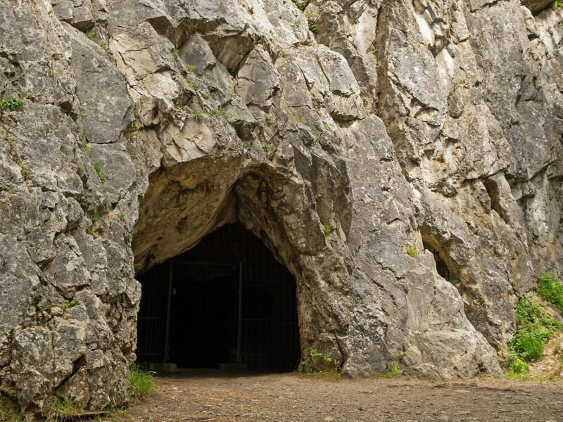 Entrée d’une des grottes de Goyet, ouverte au pied d’une falaise calcaire, en Belgique.