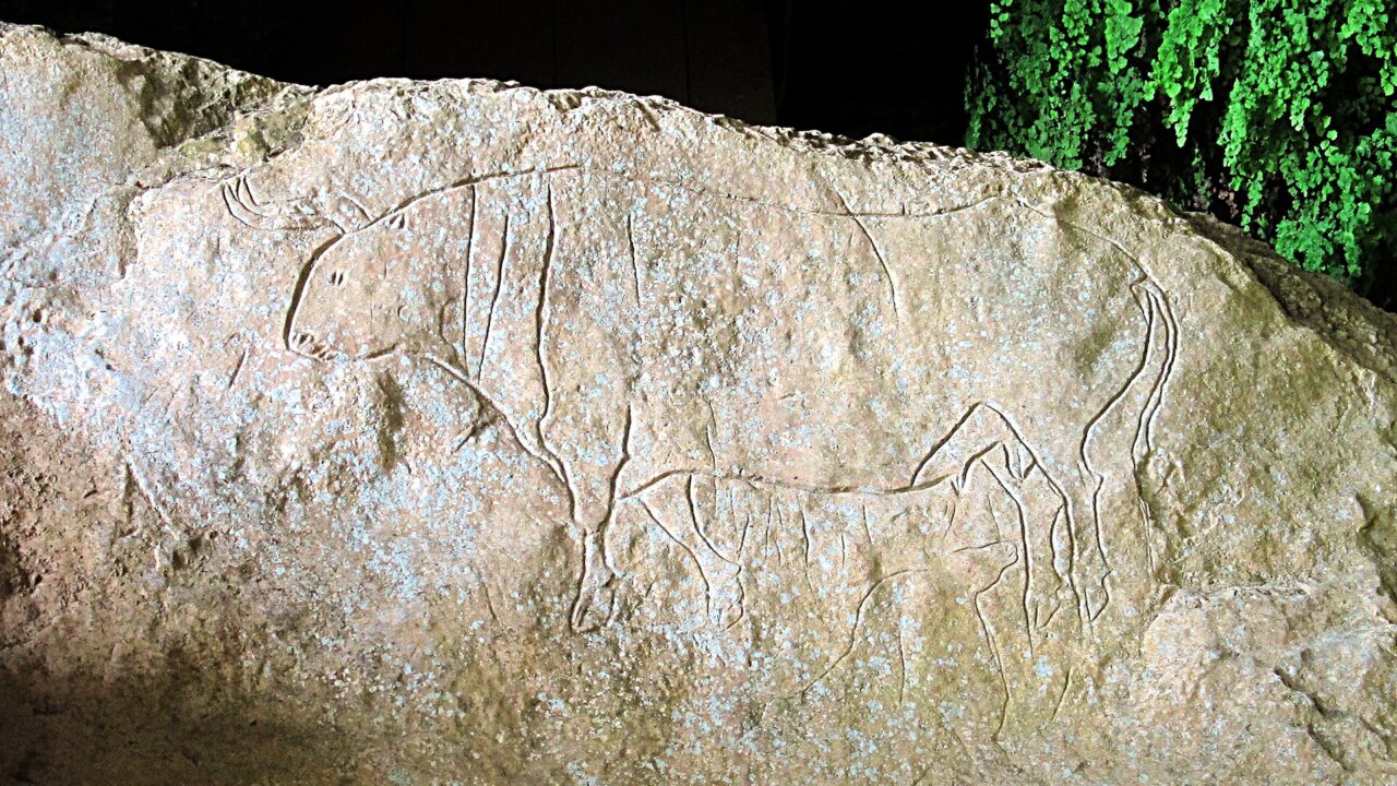 L’aurochs gravé de la Grotta del Romito, en Calabre, sur un bloc de calcaire