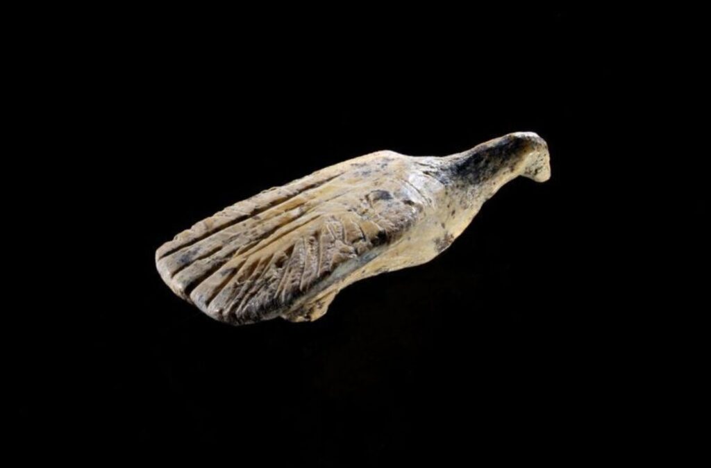 L’oiseau aux ailes déployées, de trois quarts : les plumes sont rendues par des incisions parallèles, régulières comme un peigne.