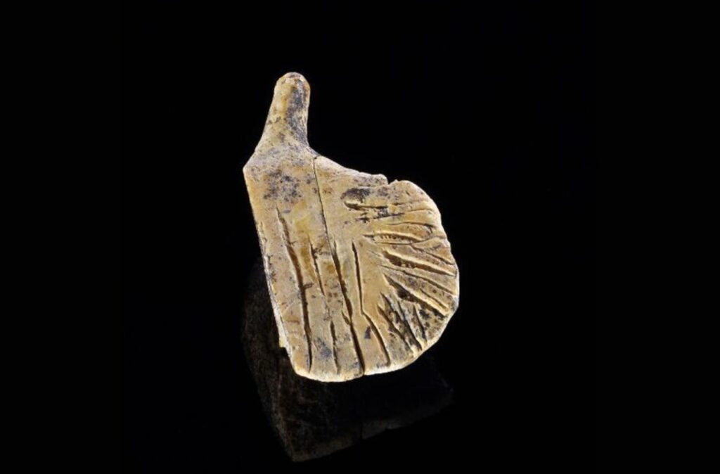 La figurine d’oiseau aux ailes déployées, vue de dessus