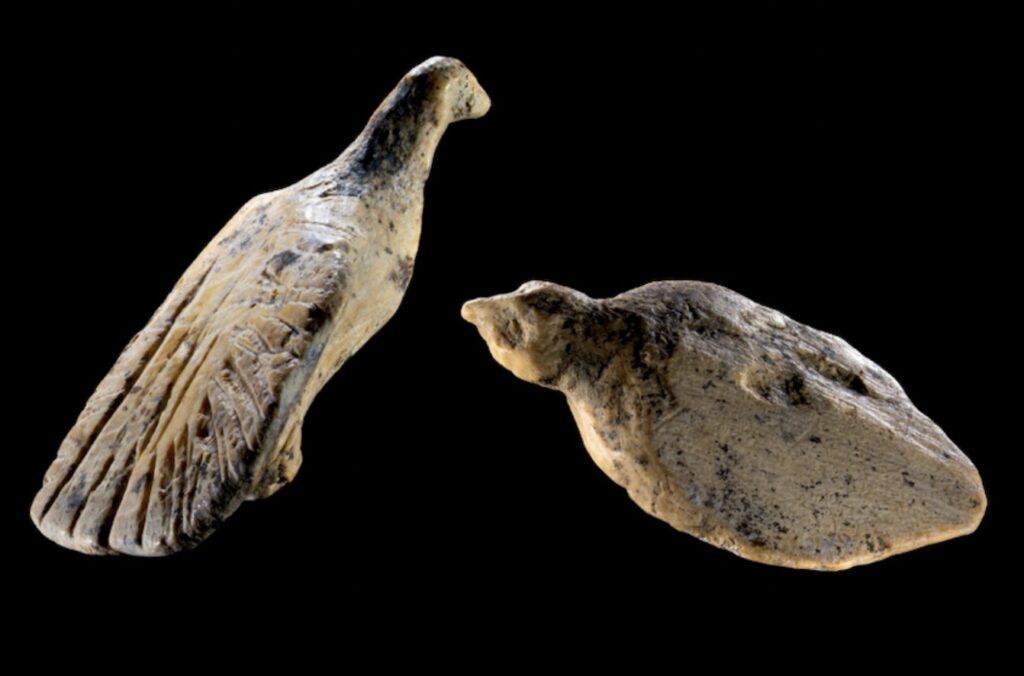 Les deux oiseaux du Hohle Fels réunis : à gauche celui aux ailes déployées, à droite celui au corps ramassé. Chacun mesure environ deux centimètres.