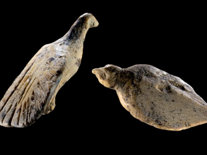 Les deux figurines d’oiseaux en ivoire de mammouth du Hohle Fels