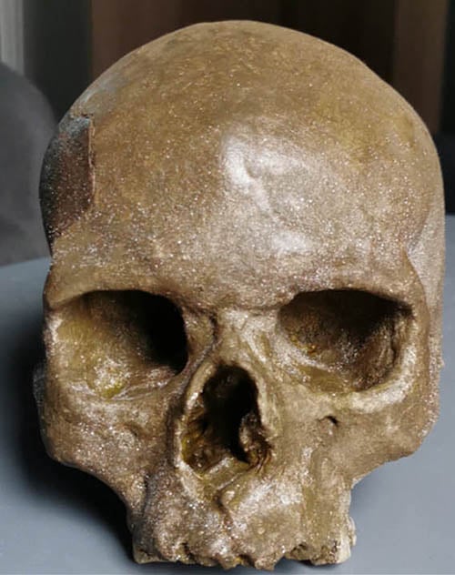 Moulage : crâne homo sapiens Mladec 1