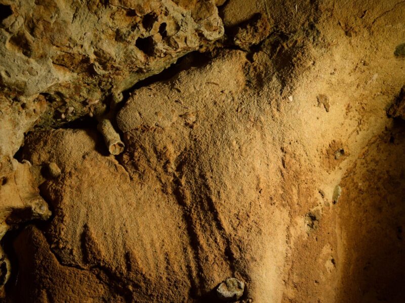Paroi ocre de la grotte de La Roche-Cotard, parcourue de longues traces parallèles laissées par des doigts.