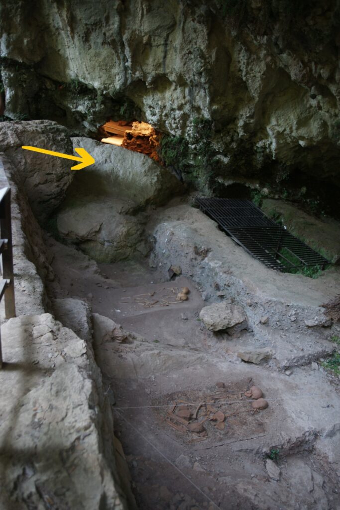 Les sépultures préhistoriques de la Grotta del Romito, visibles au sol sous l’abri, l’aurochs gravé signalé par une flèche