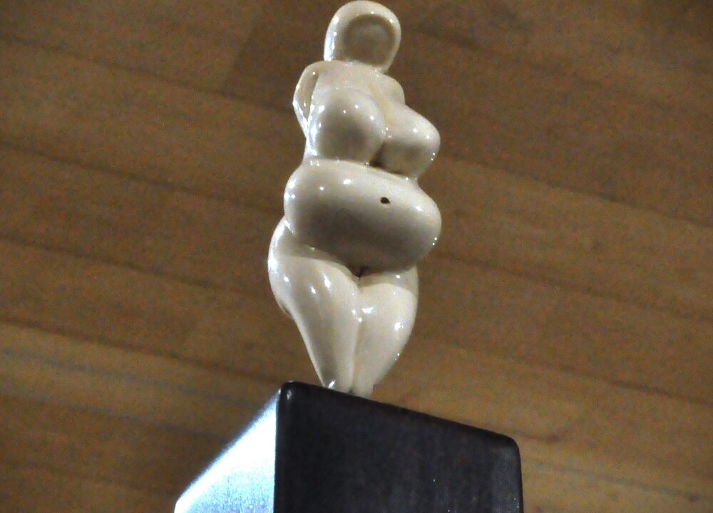 Vénus à la natte