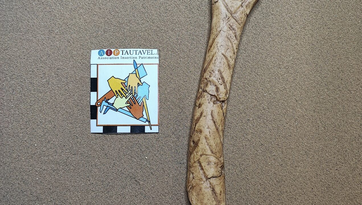 Reproduction : Bâton percé hachuré, Abri Laugerie Basse, les Eyzies