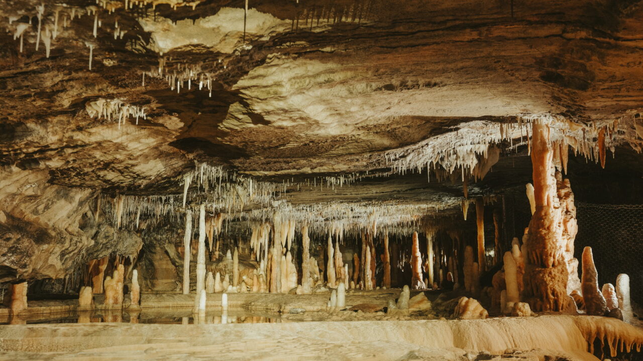 Concrétions dans les grottes de Buchan (Victoria, Australie). Cloggs Cave s’ouvre dans le même karst calcaire, à quelques kilomètres ; elle n’est pas ouverte au public et ne figure pas sur cette vue.