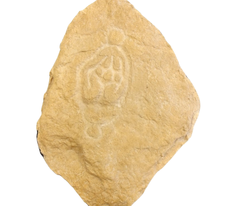 Moulage : Carte à jouer (Vénus), Abri de Laussel