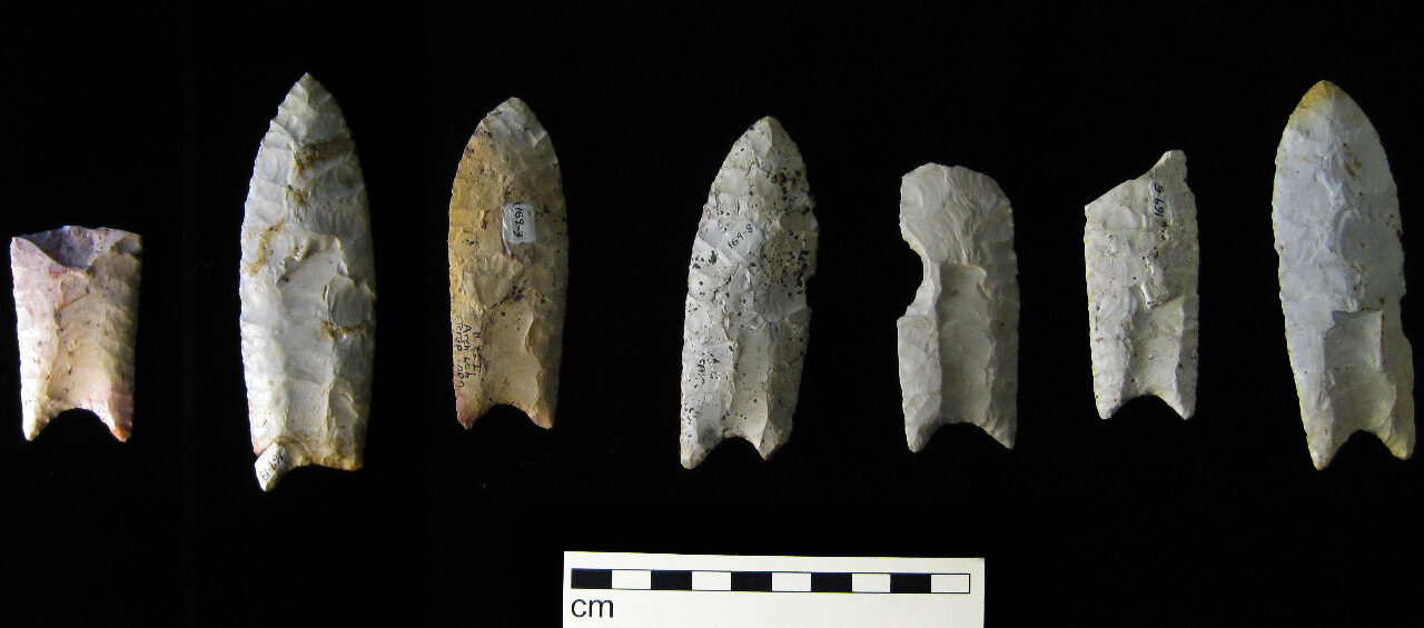 Sept pointes Clovis du dépôt de Rummells-Maske, dans l’Iowa. Leurs longueurs très inégales montrent jusqu’où chacune a été réaffûtée avant d’être abandonnée.