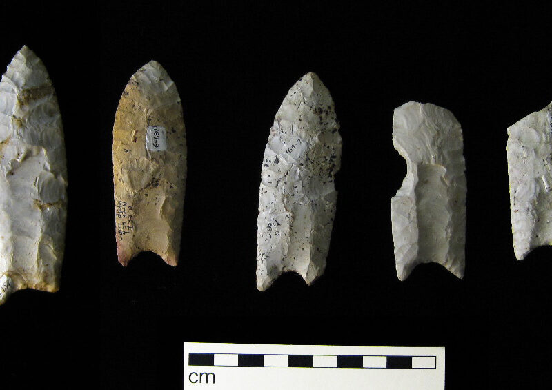 Sept pointes Clovis du dépôt de Rummells-Maske, dans l’Iowa. Leurs longueurs très inégales montrent jusqu’où chacune a été réaffûtée avant d’être abandonnée.