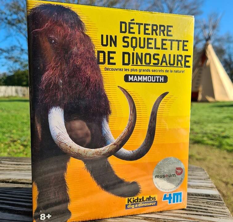 Déterre un squelette de mammouth