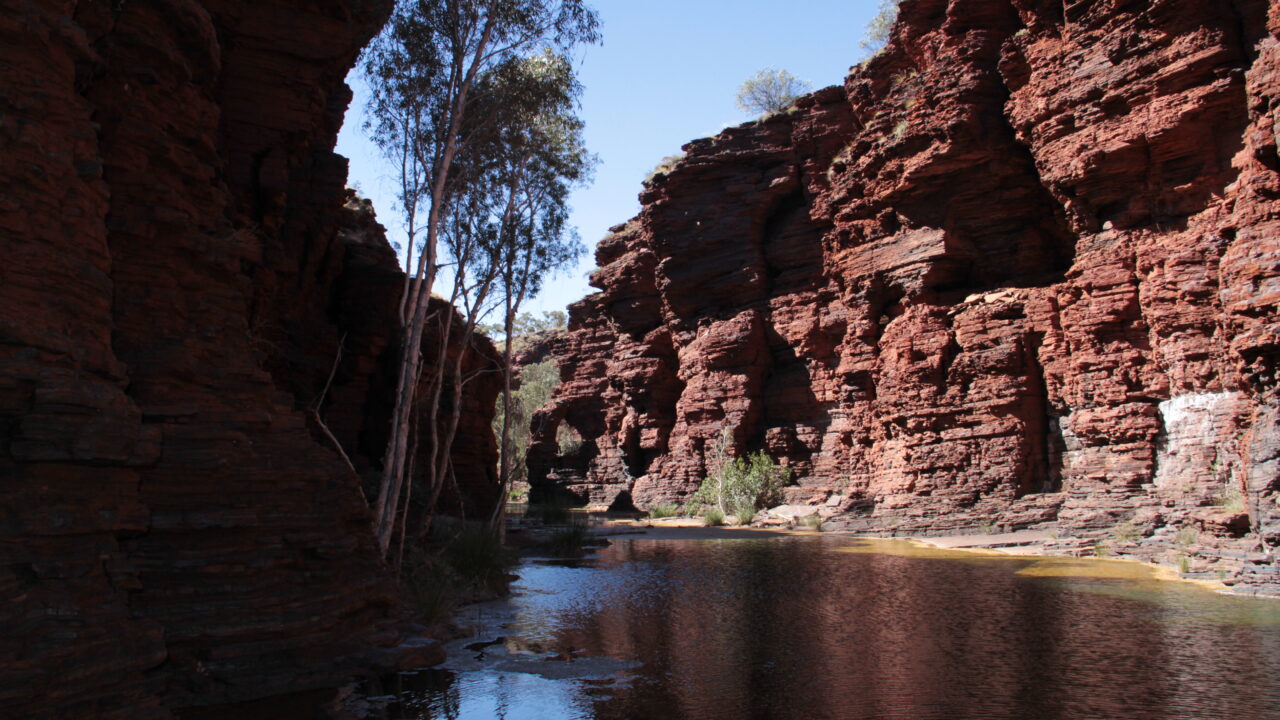 Gorge de Kalmina, parc national de Karijini, dans le Pilbara (Australie-Occidentale). Ce n’est pas Juukan, situé plus à l’ouest sur le même plateau de Hamersley : c’est le paysage de gorges et de grès rouges où les abris s’ouvrent.