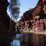 Gorge de Kalmina, parc national de Karijini, dans le Pilbara (Australie-Occidentale). Ce n’est pas Juukan, situé plus à l’ouest sur le même plateau de Hamersley : c’est le paysage de gorges et de grès rouges où les abris s’ouvrent.