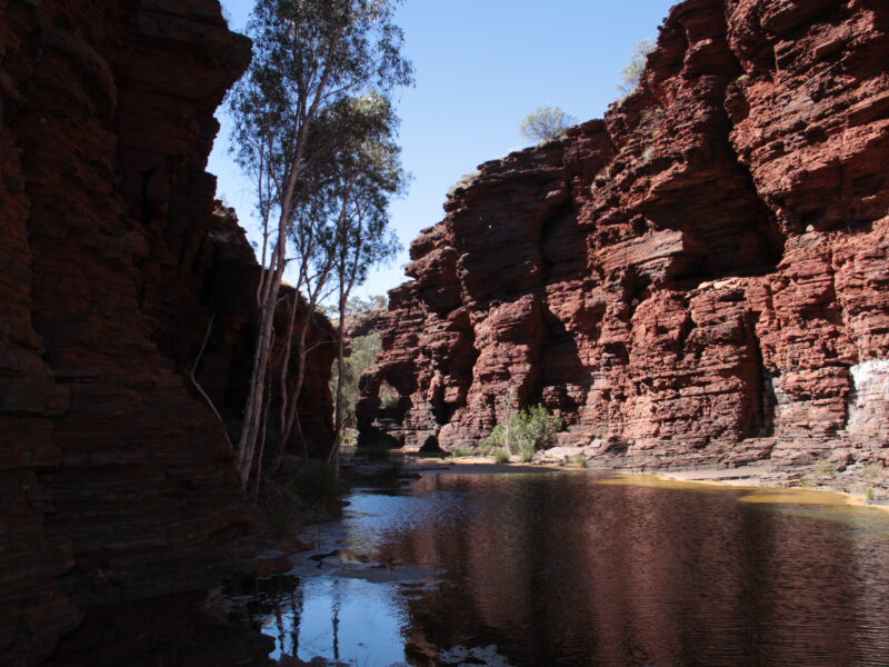 Gorge de Kalmina, parc national de Karijini, dans le Pilbara (Australie-Occidentale). Ce n’est pas Juukan, situé plus à l’ouest sur le même plateau de Hamersley : c’est le paysage de gorges et de grès rouges où les abris s’ouvrent.