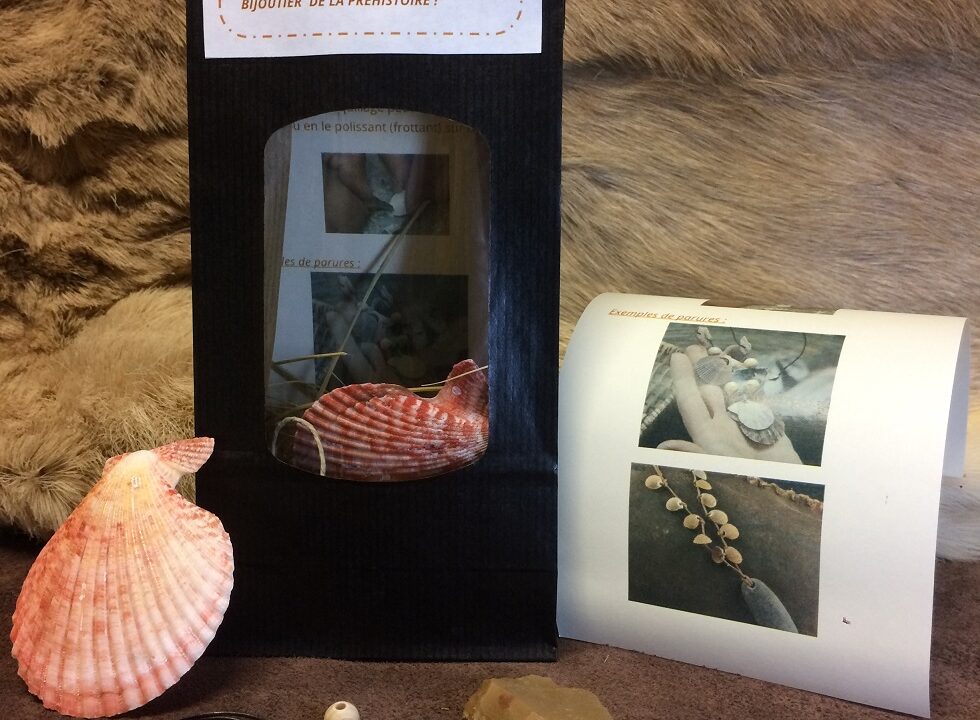 Kit DIY : parure en coquillage