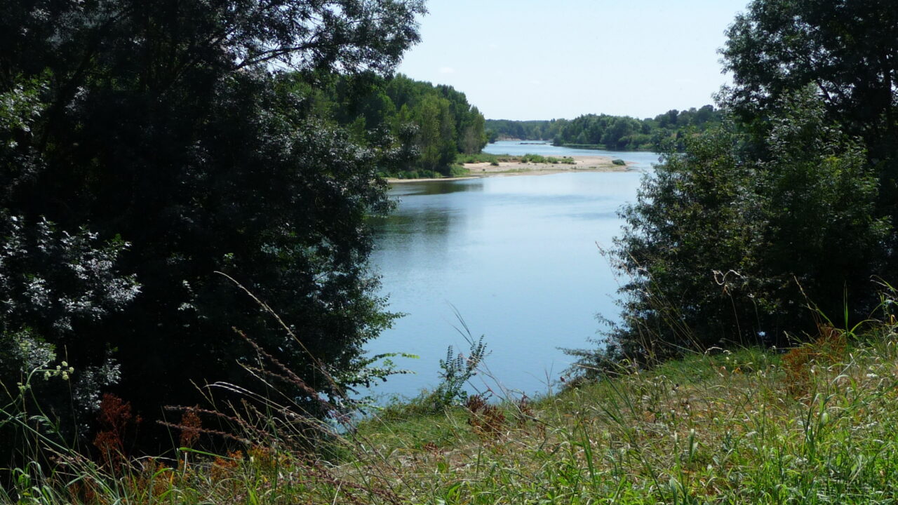 La Loire entre Beaugency et Muides-sur-Loire, à quelques kilomètres du chantier. Les chasseurs laboriens venaient chercher le silex qui affleure le long du fleuve.