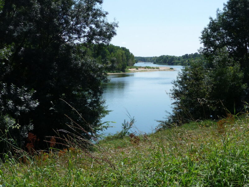 La Loire entre Beaugency et Muides-sur-Loire, à quelques kilomètres du chantier. Les chasseurs laboriens venaient chercher le silex qui affleure le long du fleuve.